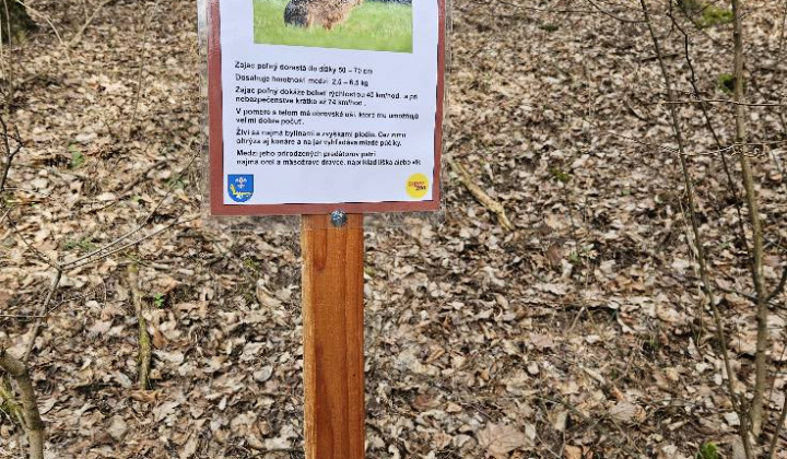 Zobraziť fotografiu