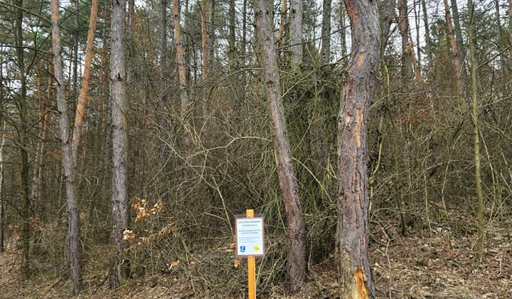 Zobraziť fotografiu