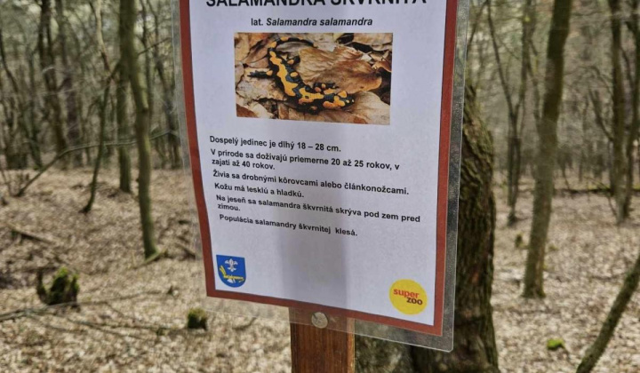 Zobraziť fotografiu