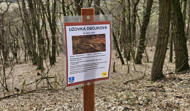 Zobraziť fotografiu