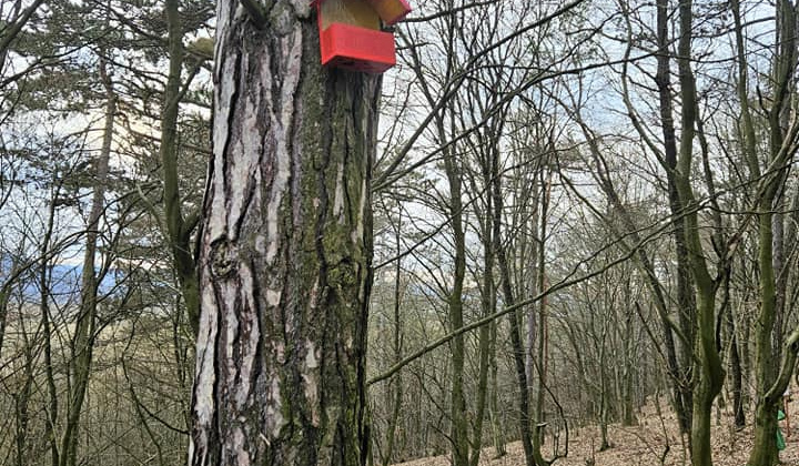 Zobraziť fotografiu