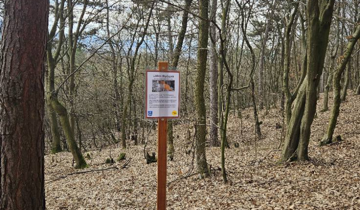 Zobraziť fotografiu