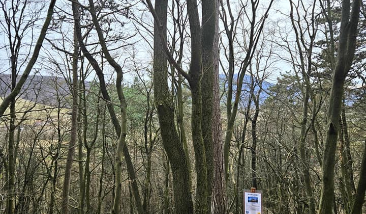 Zobraziť fotografiu