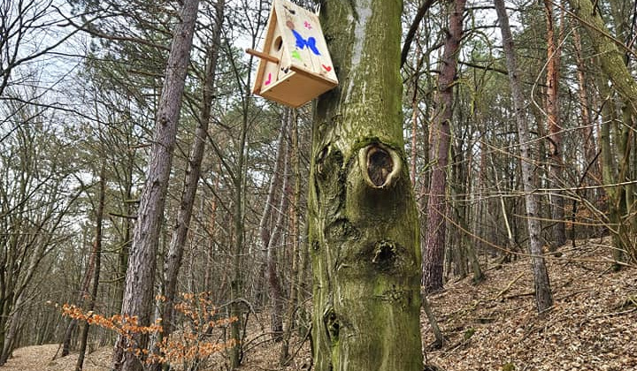 Zobraziť fotografiu