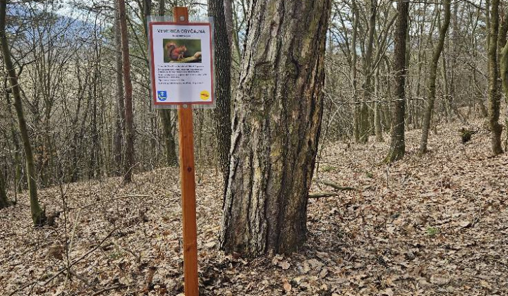 Zobraziť fotografiu