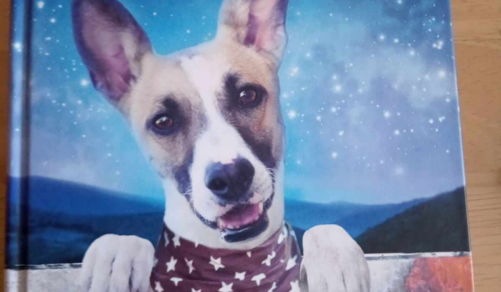 Zobraziť fotografiu