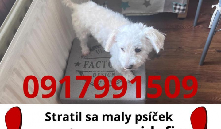 Zobraziť fotografiu