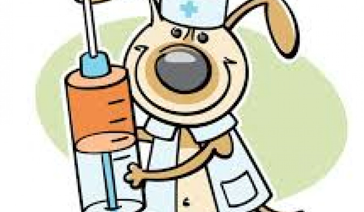 Zobraziť fotografiu